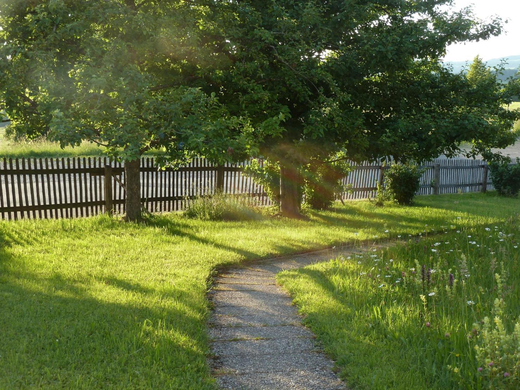 Ferienwohnung Hoernle Bad Kohlgrub Bagian luar foto